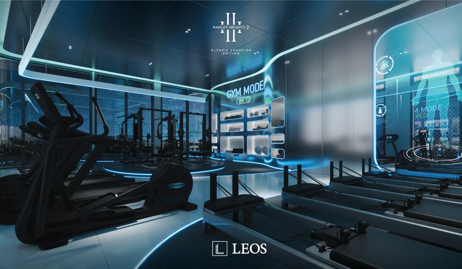 Smart performance gym at Hadley Heights 2